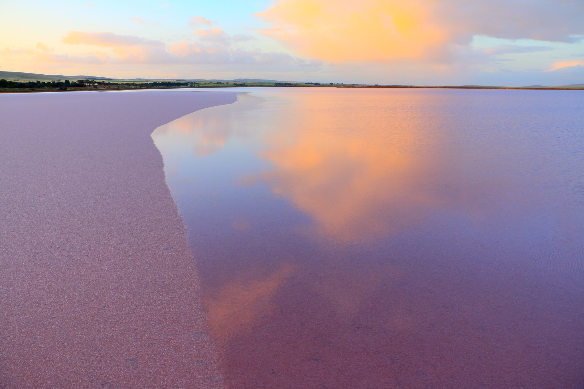 Pink Lake South Australia